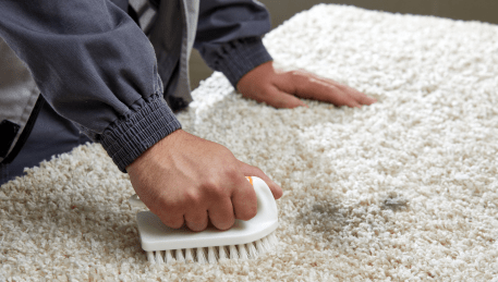 Professional Rug Cleaning Langwarrin
